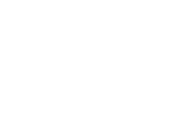 Voronoi LLC Logo